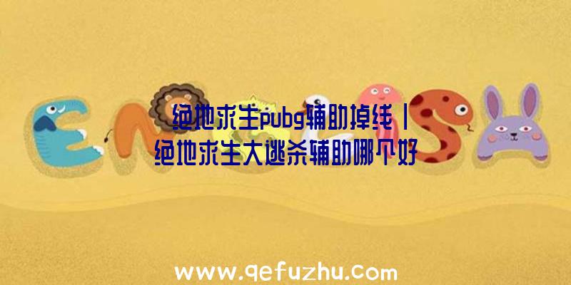 「绝地求生pubg辅助掉线」|绝地求生大逃杀辅助哪个好